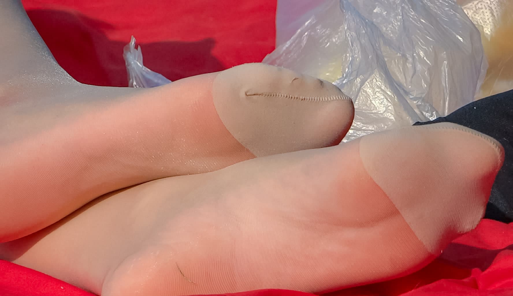 silky arches and toes in sheer hosiery